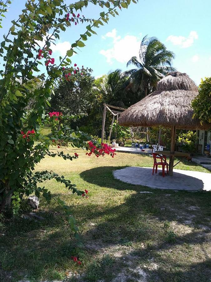 Hotel Templo Maya Xpujil Esterno foto